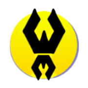 (c) Wasp-media.com